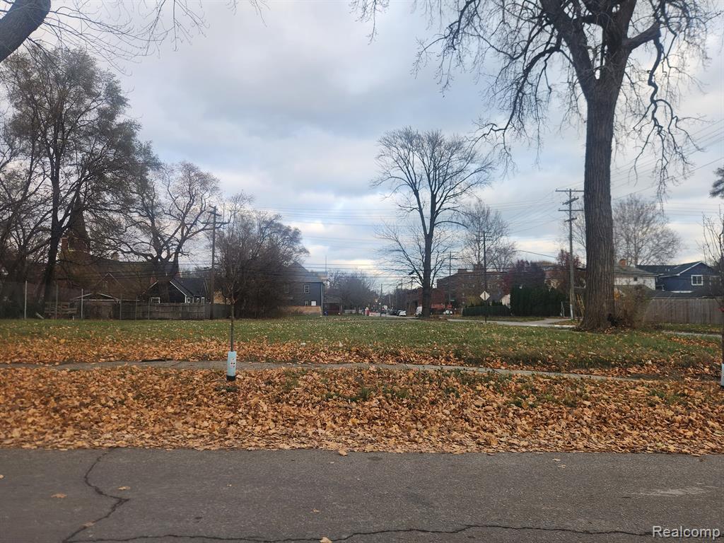 1408 LANSING, Detroit, MI 48209 — Photo 4