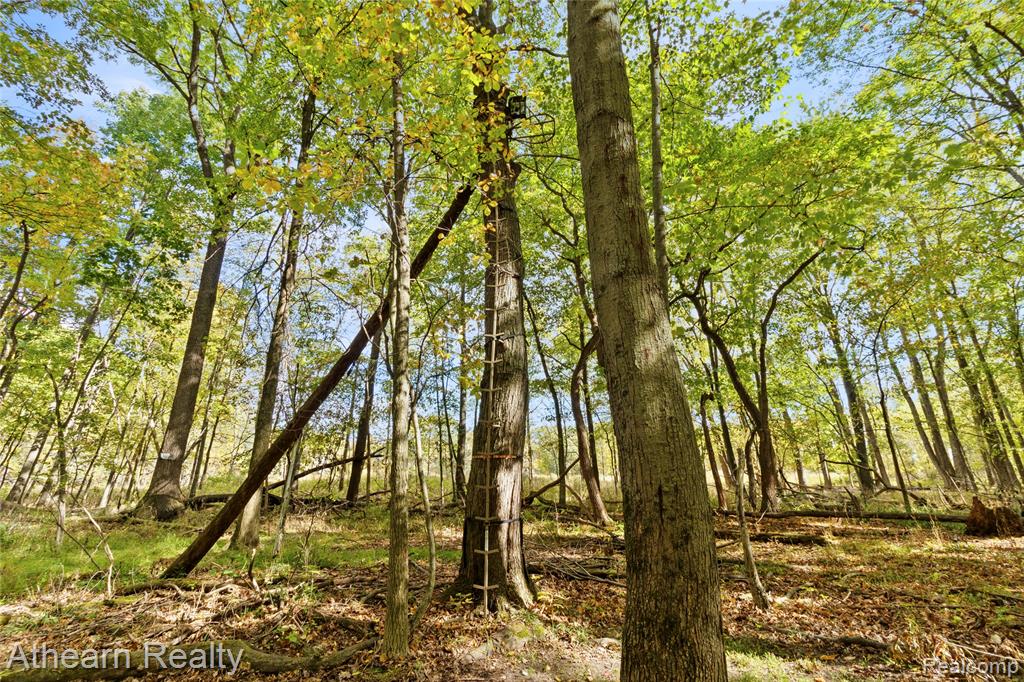 12471 Vernon Road, Bancroft, MI 48414 — Photo 24