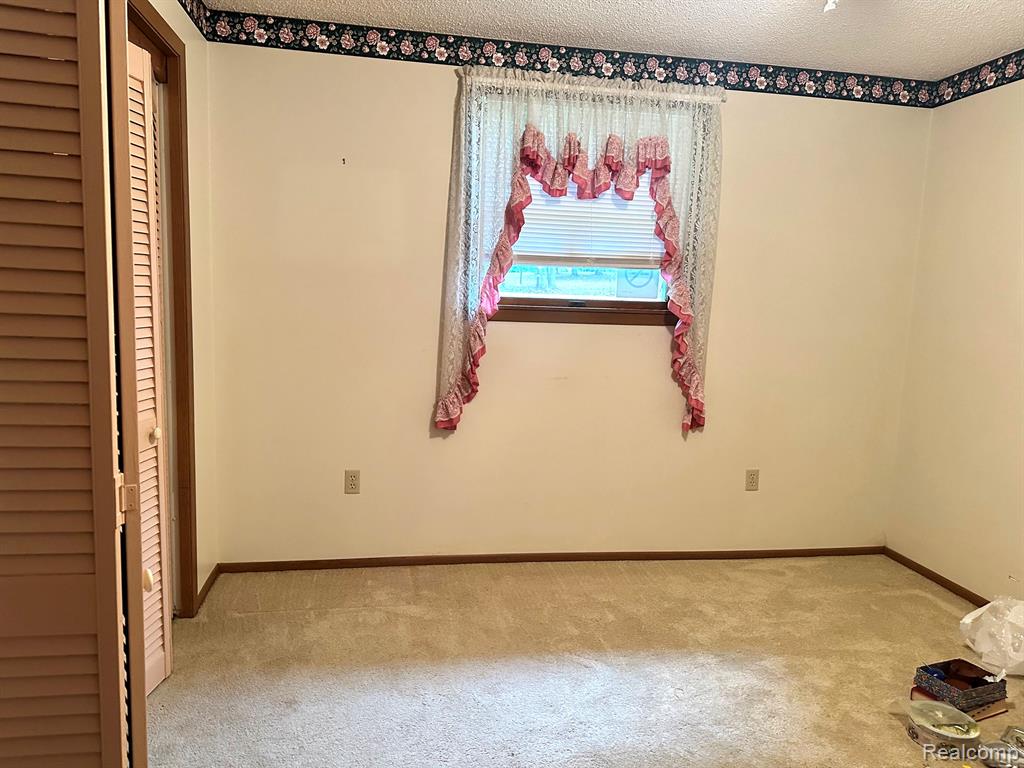 6111 5TH Street, Mayville Vlg, MI 48744 — Photo 12