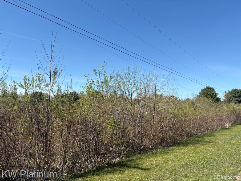 Parcel C Wicha Drive, Burtchville, MI 48059 — Photo 6