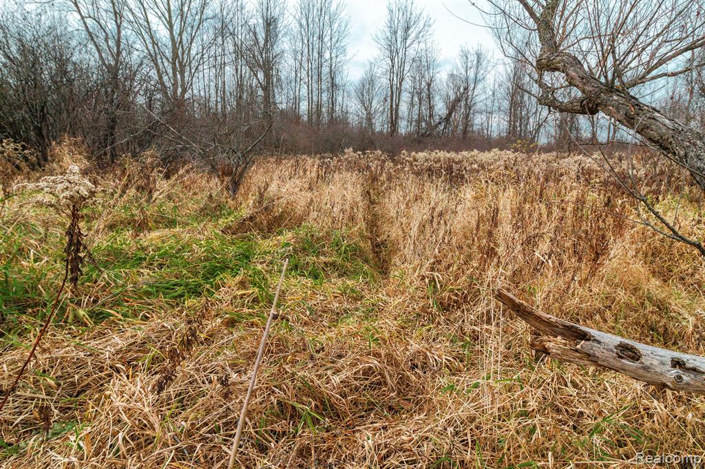 VL Roods Lake Road, Lapeer, MI 48446 — Photo 9