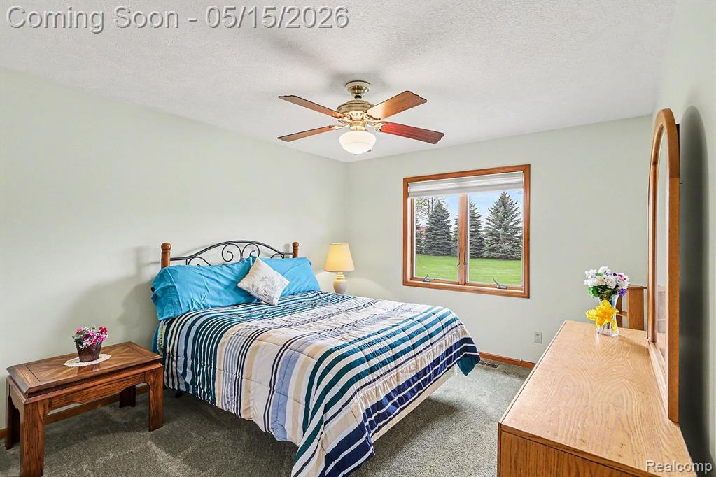 7700 N Dewitt Road, MI 48879 — Photo 14