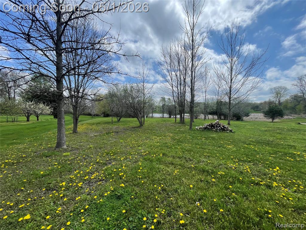 69774 / 69862 Fisher Road, Bruce, MI 48065 — Photo 66