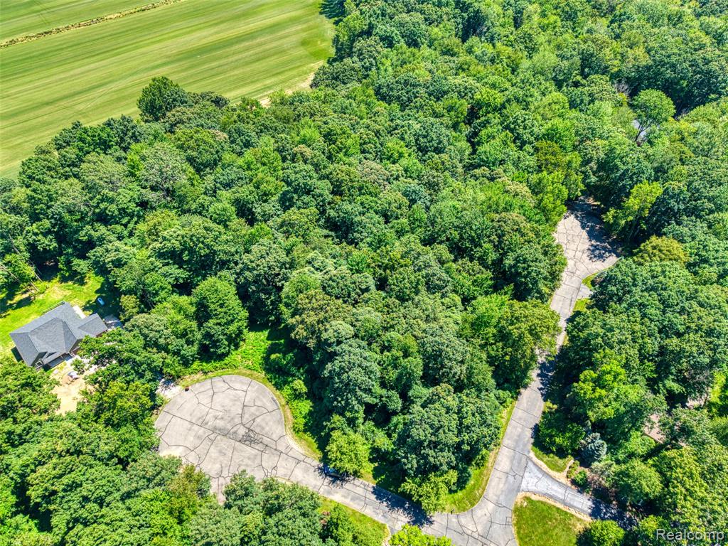 5663 Iosco Mountain Road, Gregory, MI 48137 — Photo 13