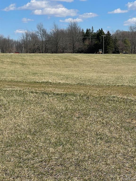 Lot 1 Misty Meadow Road, Howell, MI 48843 — Photo 3