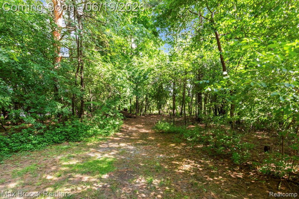 40360 Harmony Lane, Northville, MI 48167 — Photo 63