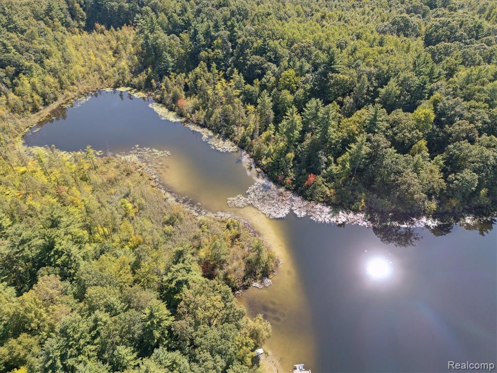 267 W Barnes Lake Road, Columbiaville, MI 48421 — Photo 39