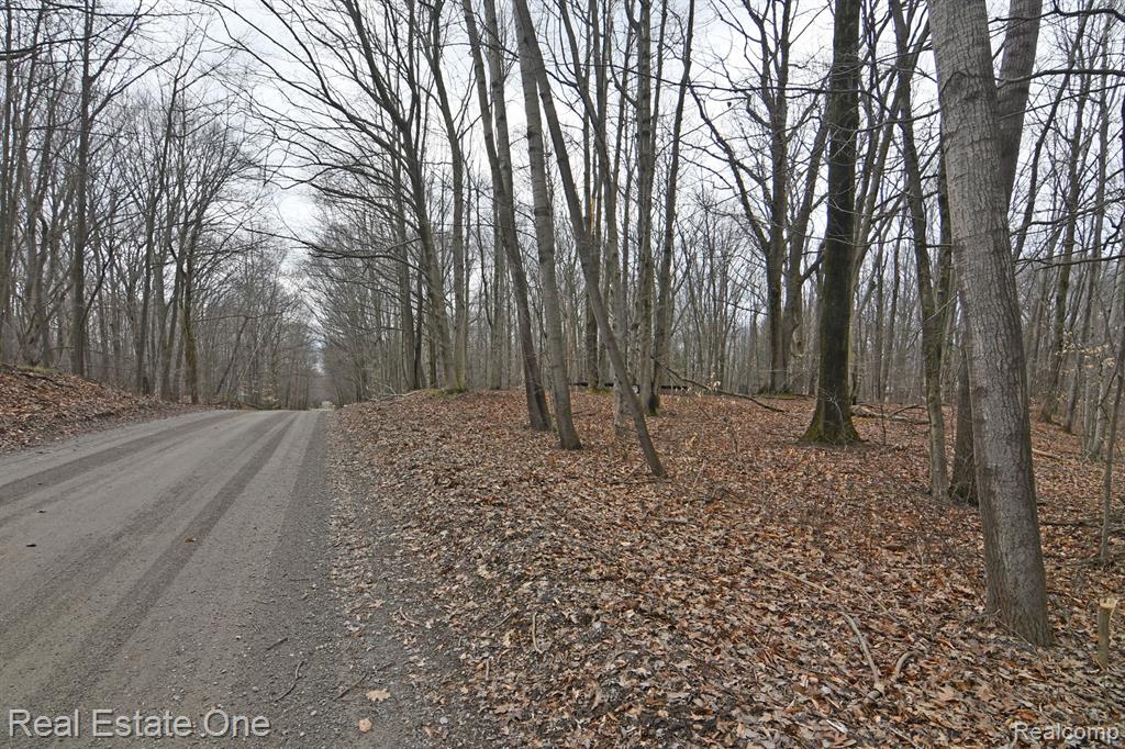 VL Hamlin Lake Estates Block 12 Lot 21-24, Ludington, MI 49431 — Photo 2