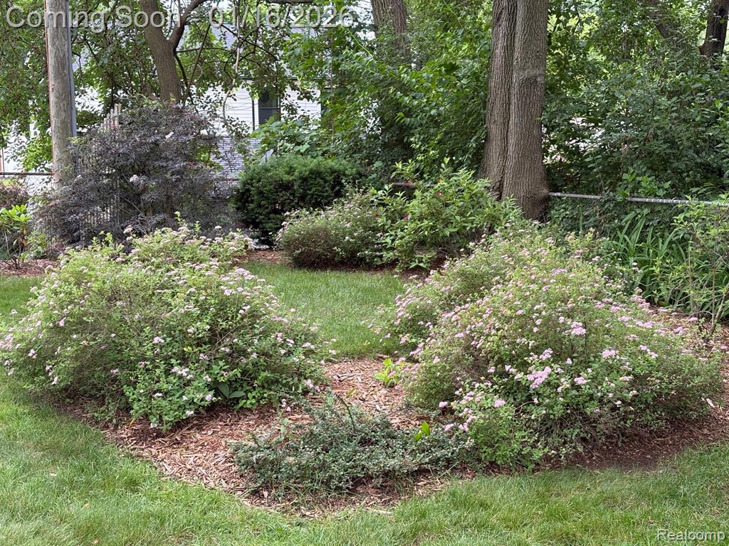 946 Novi Street, Northville, MI 48167 — Photo 27