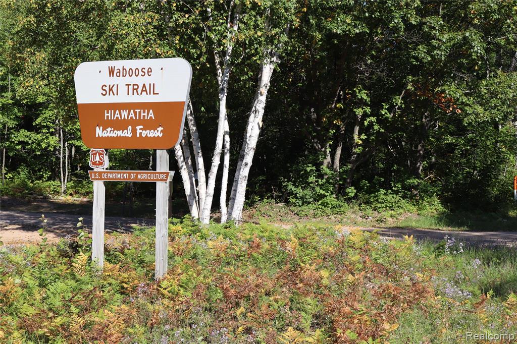 Lot D W Pendills Lake Road, Brimley, MI 49715 — Photo 52