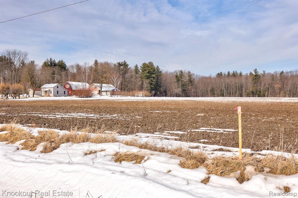 VL Busch (Parcel B) Road, Birch Run, MI 48415 — Photo 16