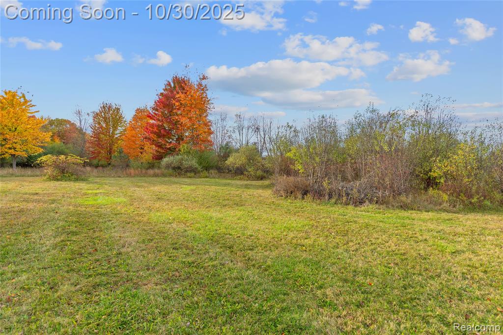 7777 Jordan Road, Yale, MI 48097 — Photo 29