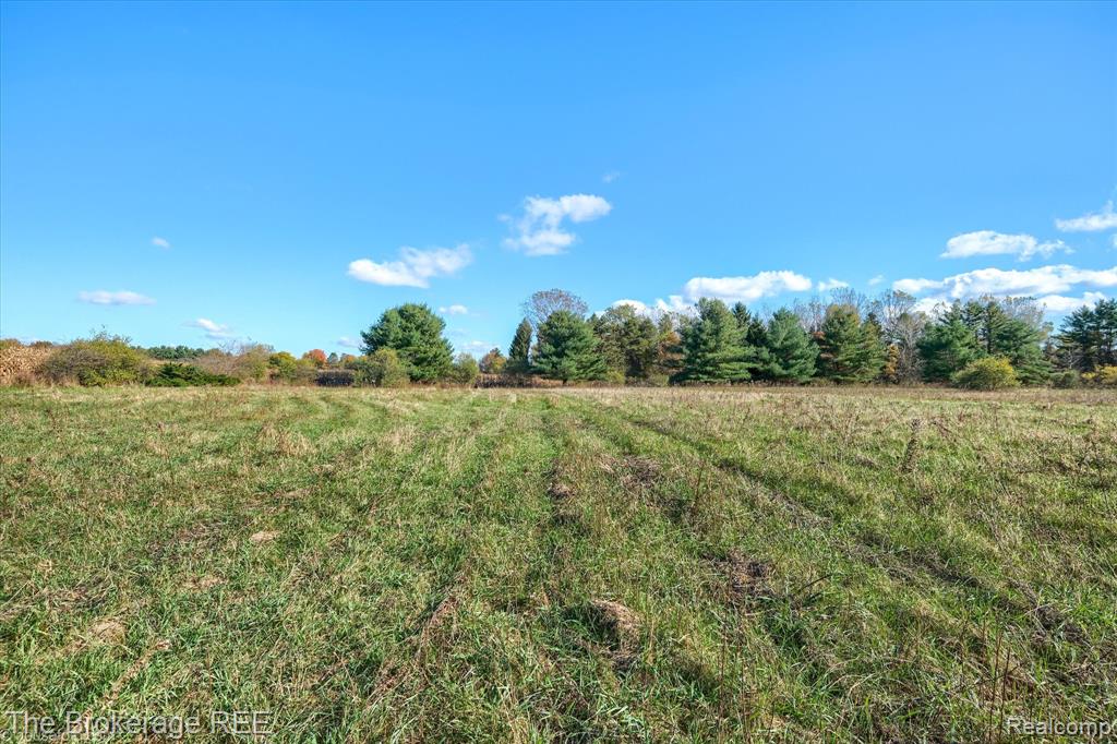 VL Janna Leigh Drive, Otter Lake, MI 48464 — Photo 7