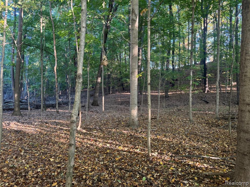 VL Rock Valley Road, Metamora, MI 48455 — Photo 2