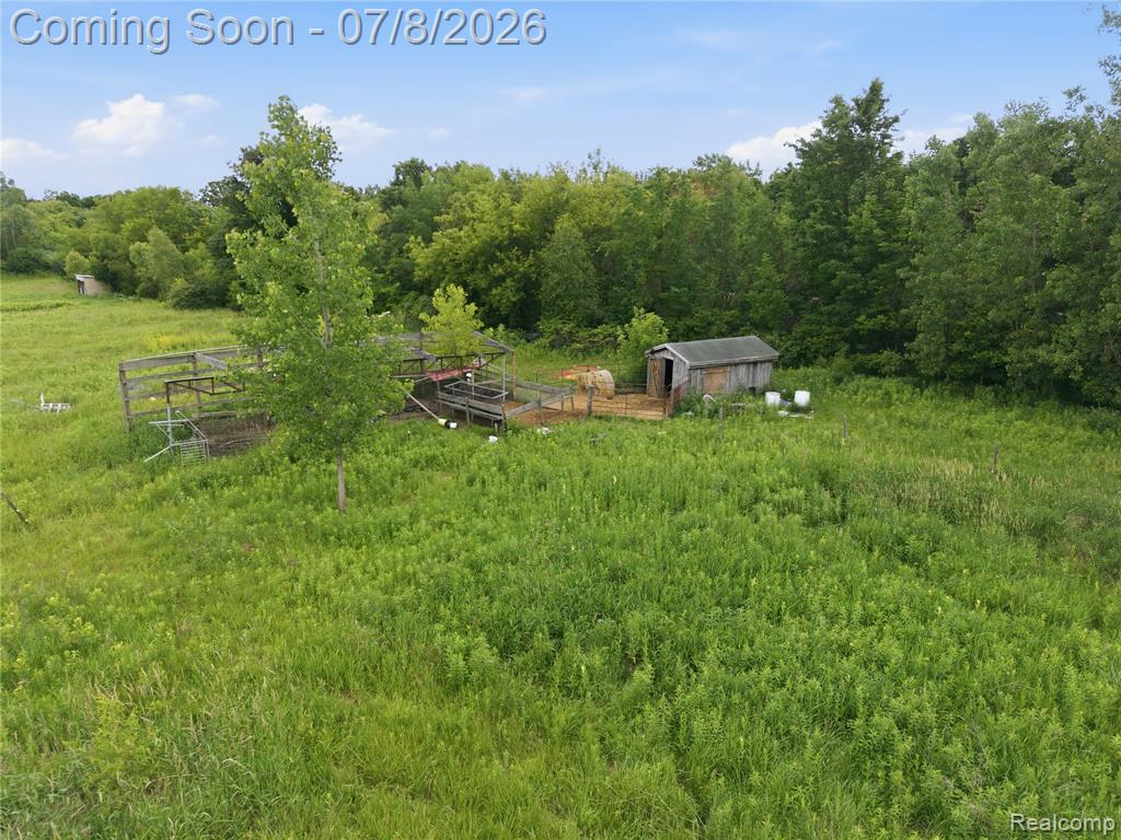 253 Park Street, Gaines Vlg, MI 48436 — Photo 23