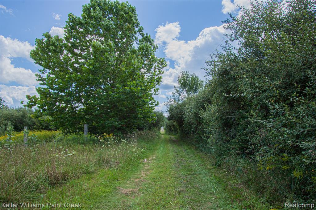 2993 Clifford Road, MI — Photo 26