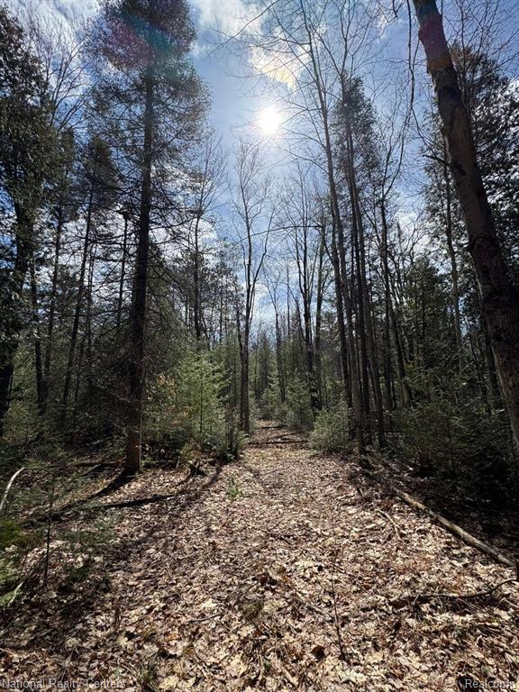 4233 Hardacre Trail, Houghton Lake, MI 48629 — Photo 14