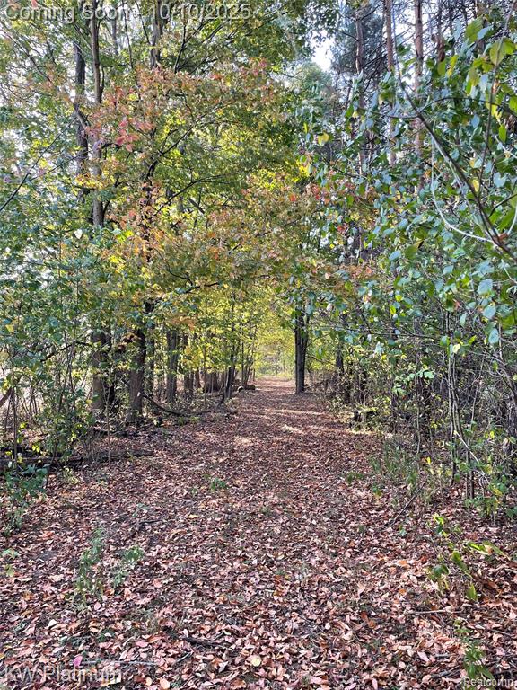 4663 Hessen Road, Casco, MI 48064 — Photo 52