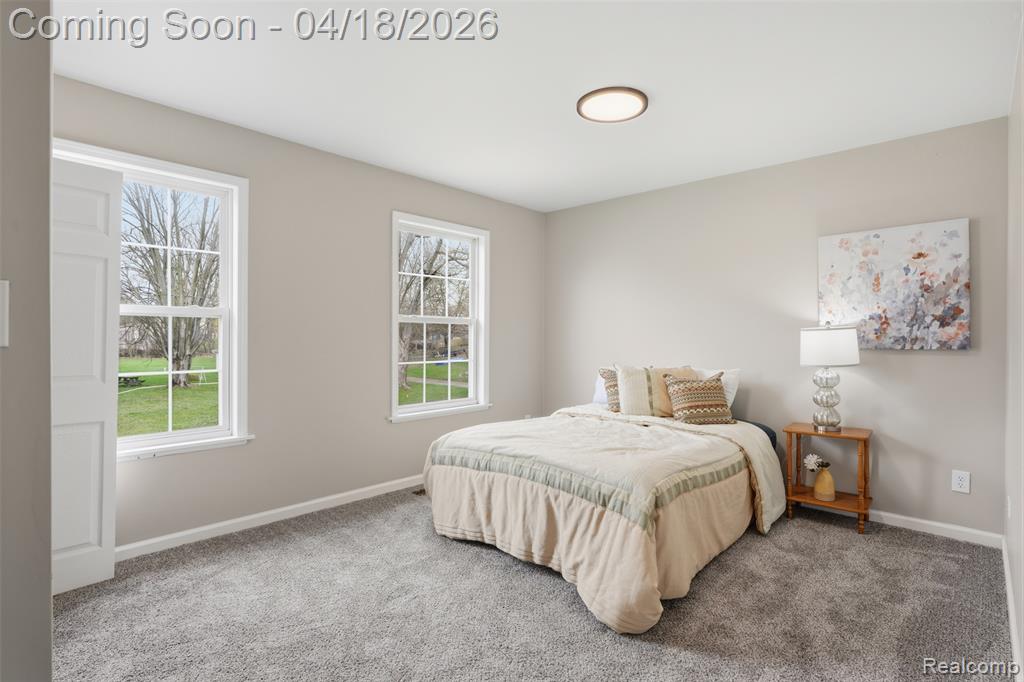 118 Gale Street, Morrice, MI 48857 — Photo 17