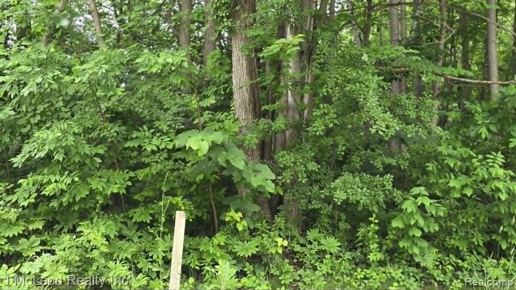 VL N Lewis Road, Clio, MI 48420 — Photo 2