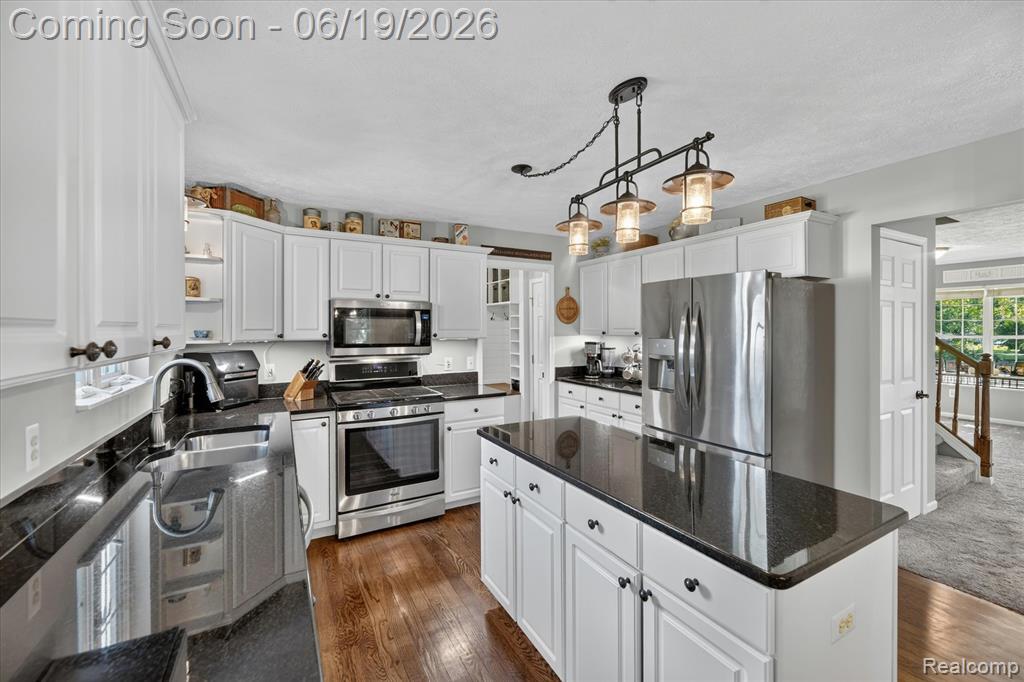 5900 Carter Court, Howell, MI 48843 — Photo 18