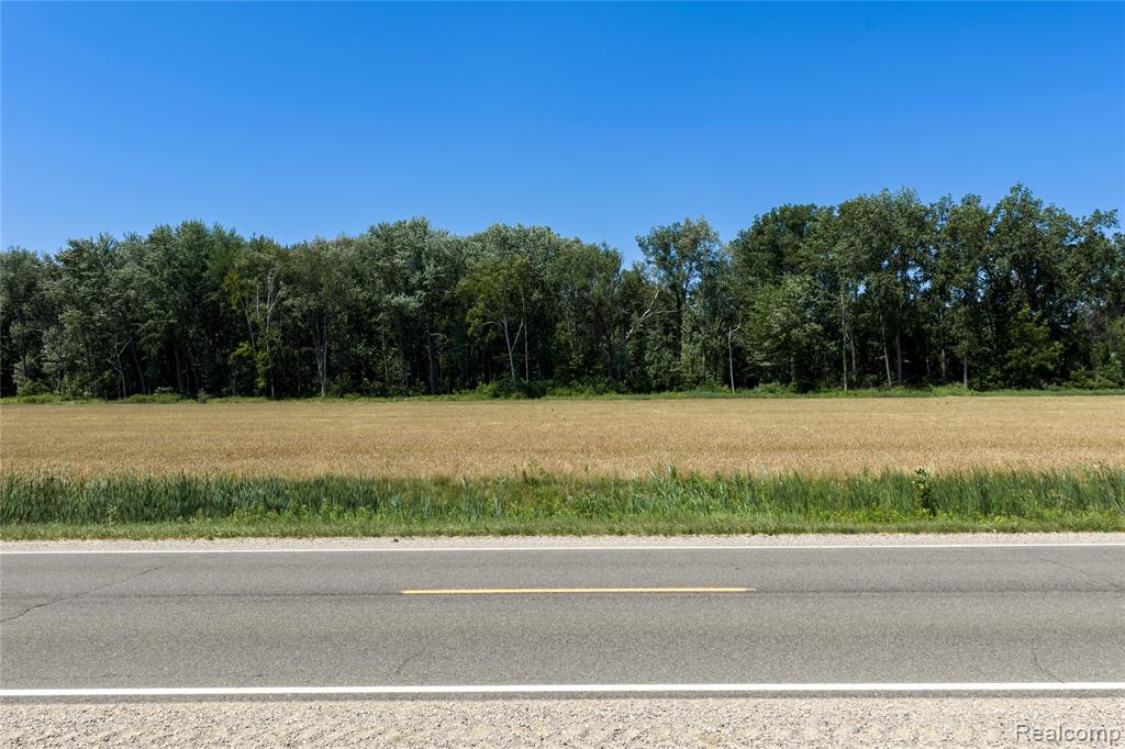 Parcel B Dodge Rd, Cass City, MI 48726 — Photo 7