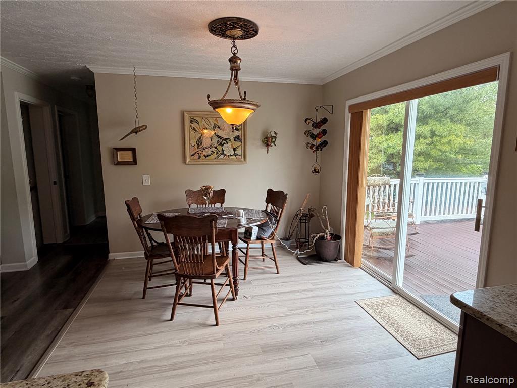 337 Lafayette Street, Manchester, MI 48158 — Photo 4