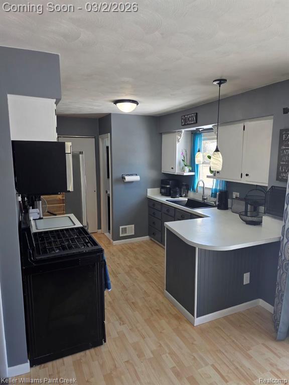 11346 Stoney Brook Drive, Grand Ledge, MI 48837 — Photo 14