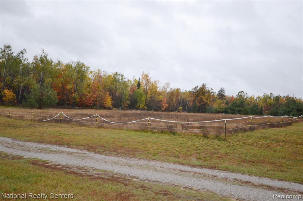 16852 Hayes Road, Hillman, MI 49746 — Photo 3