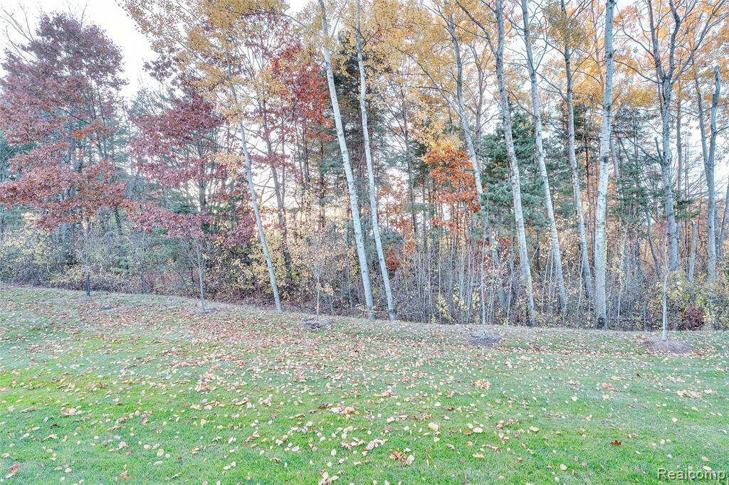 4118 Avery Road, Orion, MI — Photo 73