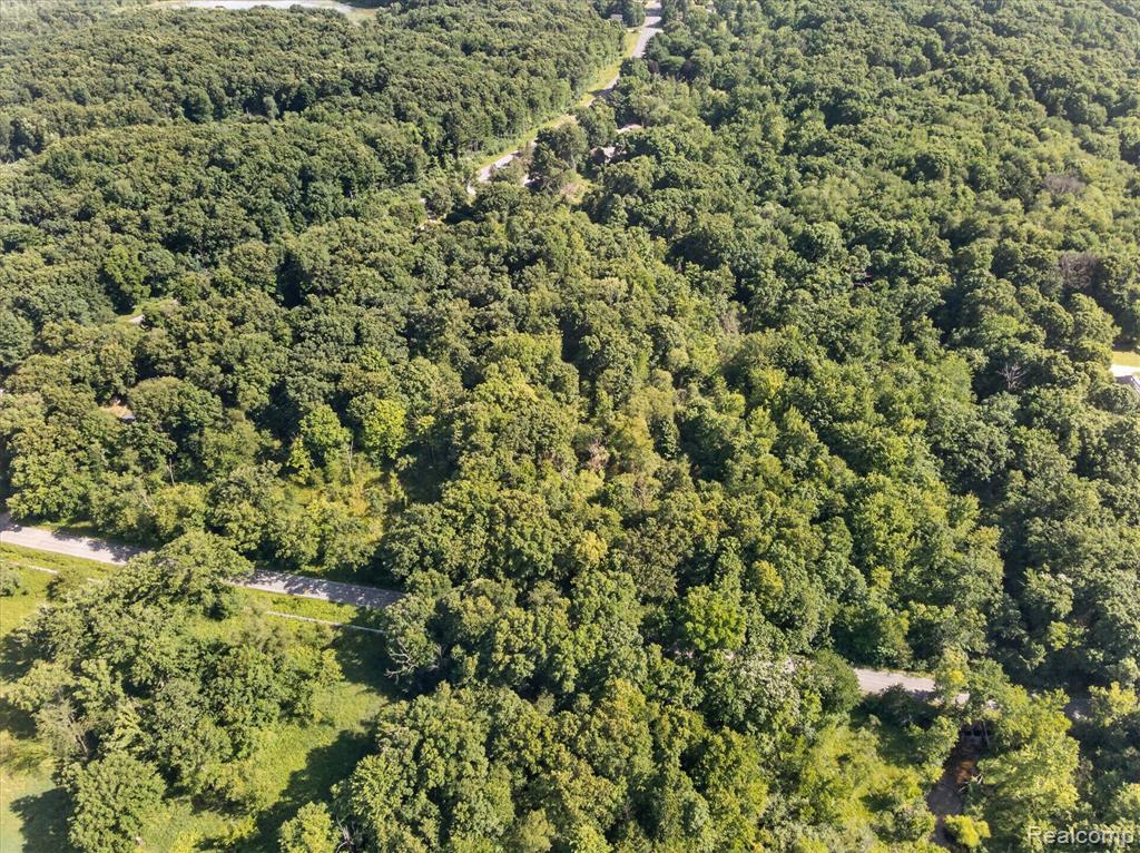 V/L Kirby Road, Battle Creek, MI 49017 — Photo 3