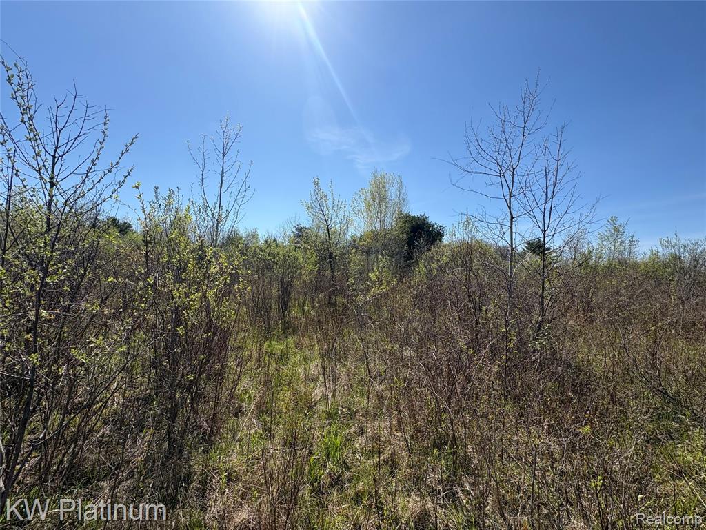 Parcel D Wicha Drive, Burtchville, MI 48059 — Photo 10