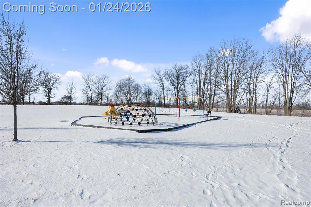 9005 Birch Pointe Drive, Newport, MI 48166 — Photo 49