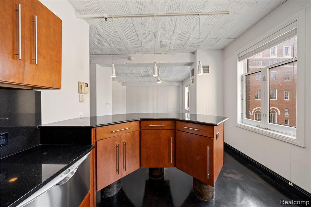2233 Park Avenue, Detroit, MI 48201 — Photo 13