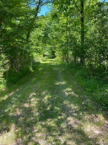 V/L UNDERWOOD Road, Caro, MI 48723 — Photo 12