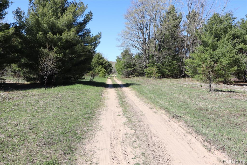 5575 E 26 Mile Road, Pickford, MI 49774 — Photo 8