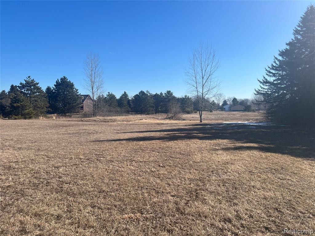 VL Mertz Rd, Mayville Vlg, MI 48744 — Photo 4