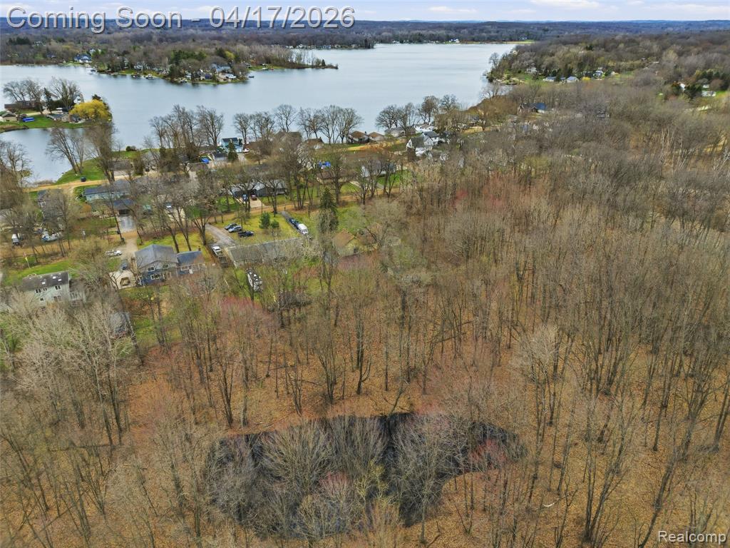 11430 Big Lake Road, Davisburg, MI 48350 — Photo 4