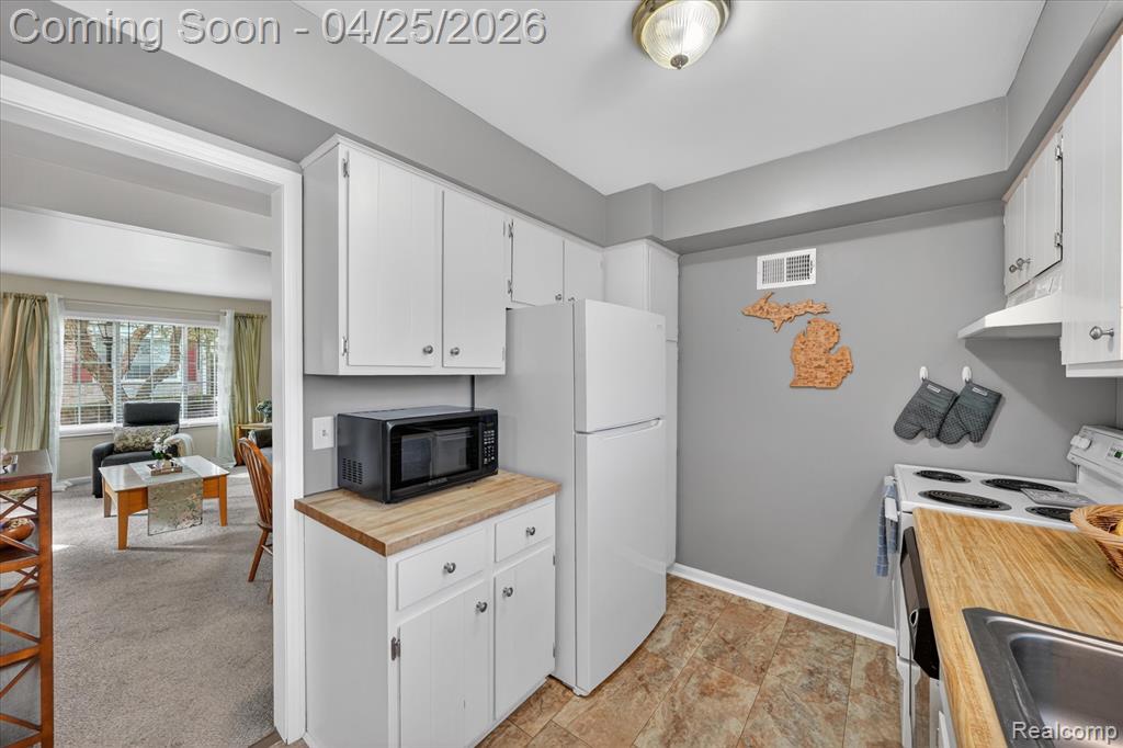445 Baldwin Avenue, Rochester, MI 48307 — Photo 12