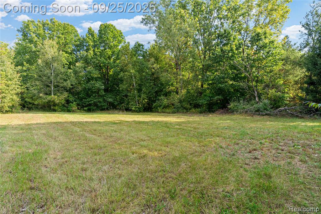2085 Byrnes Drive, Clio, MI 48420 — Photo 33