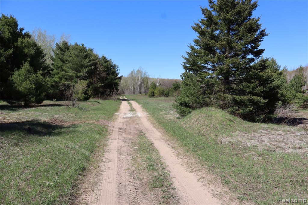 5575 E 26 Mile Road, Pickford, MI 49774 — Photo 14