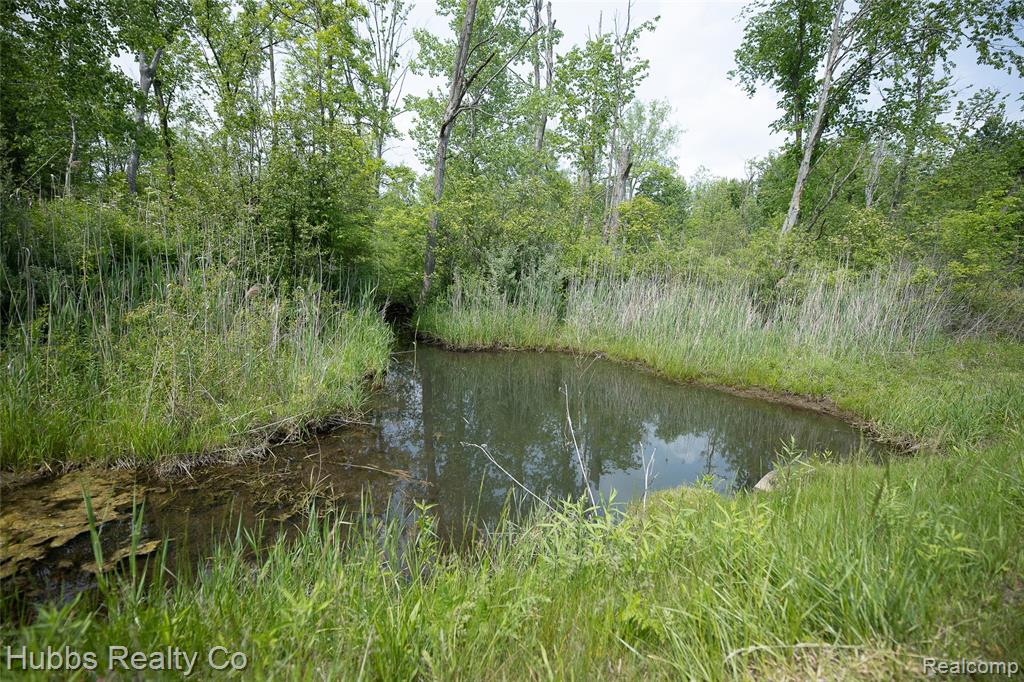3960 Hanes Road, Vassar, MI 48768 — Photo 50