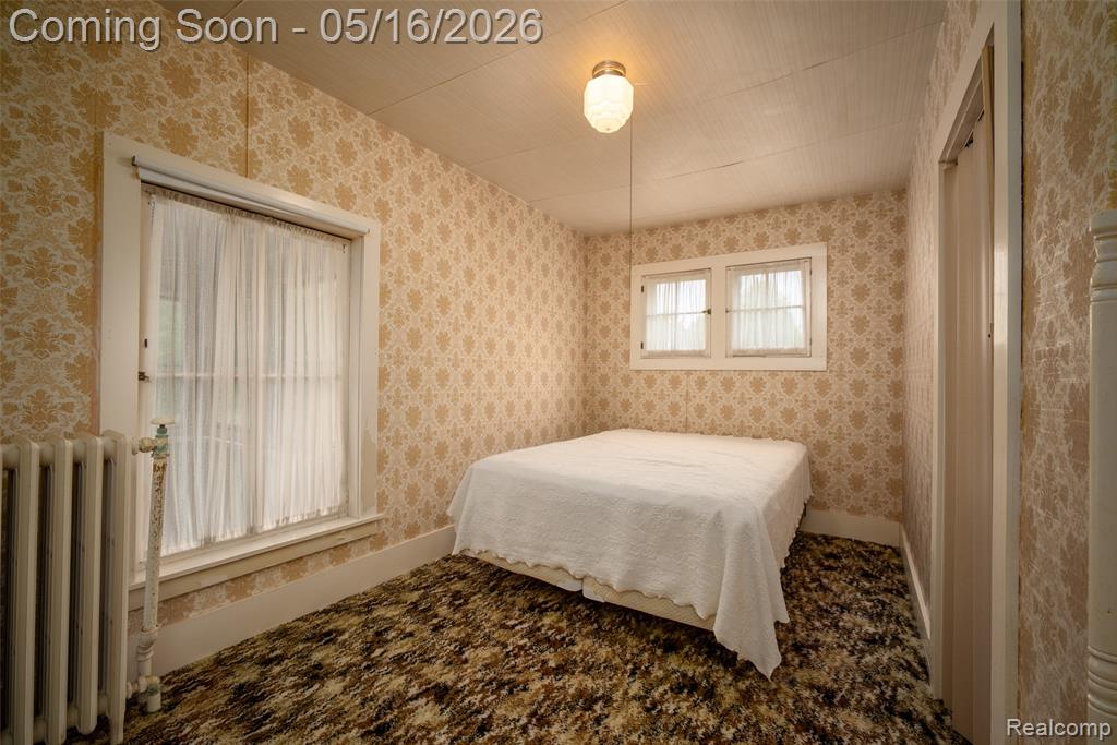 207 N Pine River Street, Ithaca, MI 48847 — Photo 26