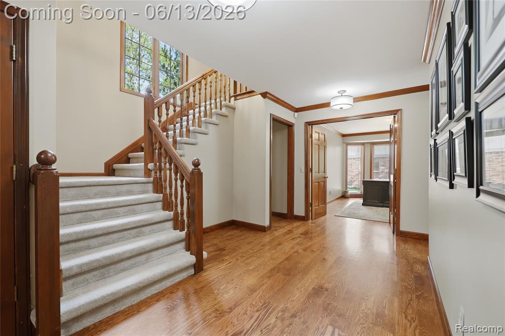55380 Theo Drive, Shelby Twp, MI 48315 — Photo 4