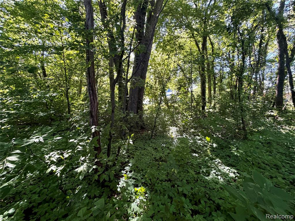 50730 Fairchild Road, New Baltimore, MI — Photo 41