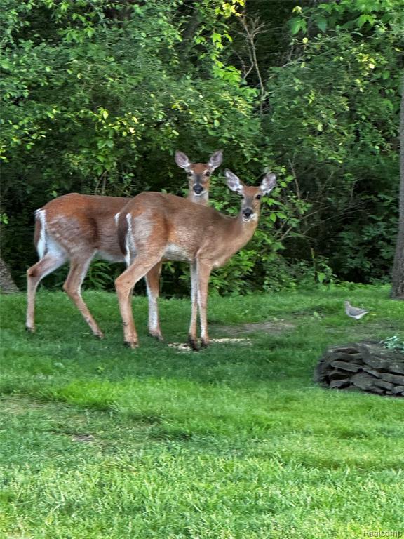 45289 Rudgate Road, Canton, MI 48188 — Photo 6