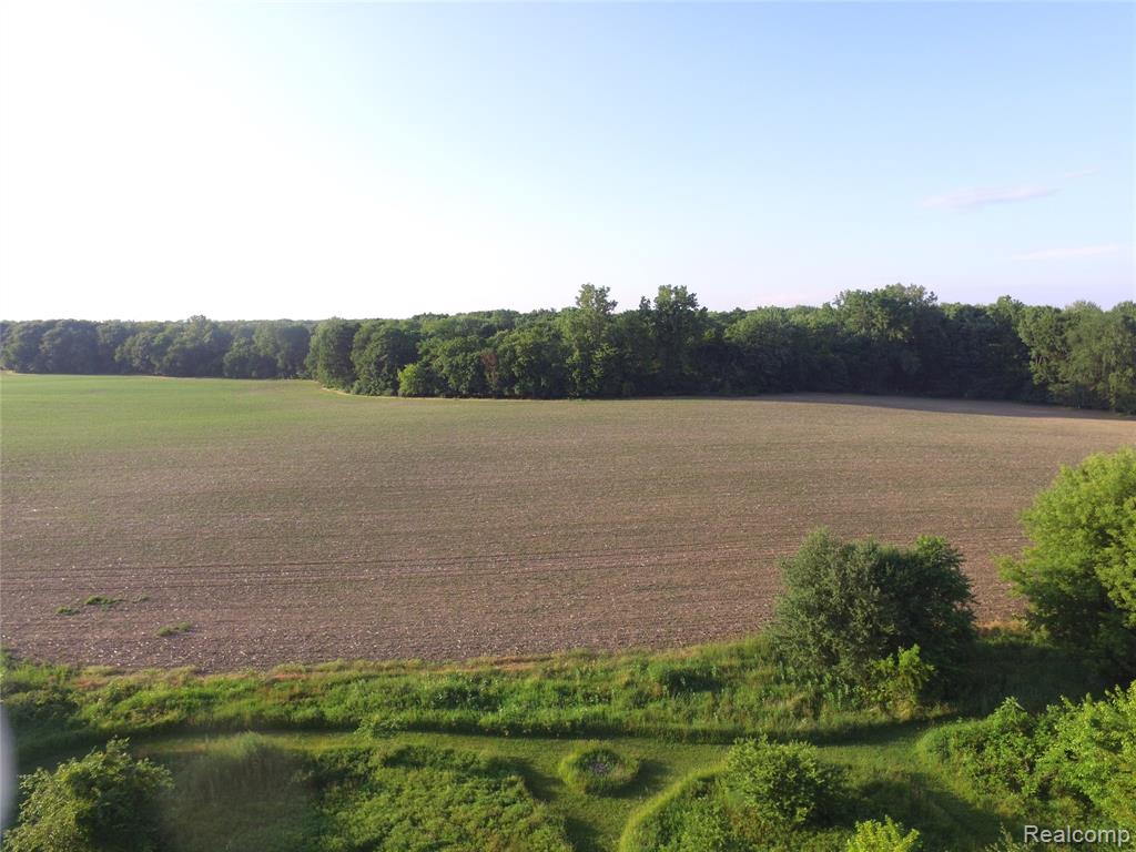 5393 Huschke Road, Webberville, MI 48892 — Photo 10