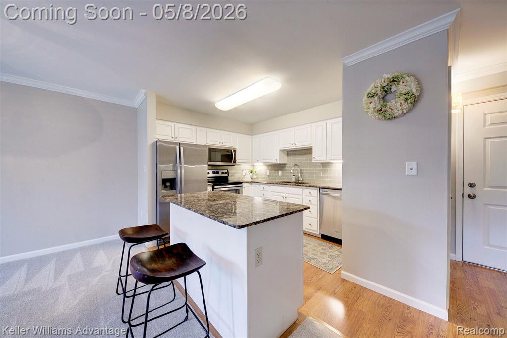770 Deer Street, 302, Plymouth, MI 48170 — Photo 7