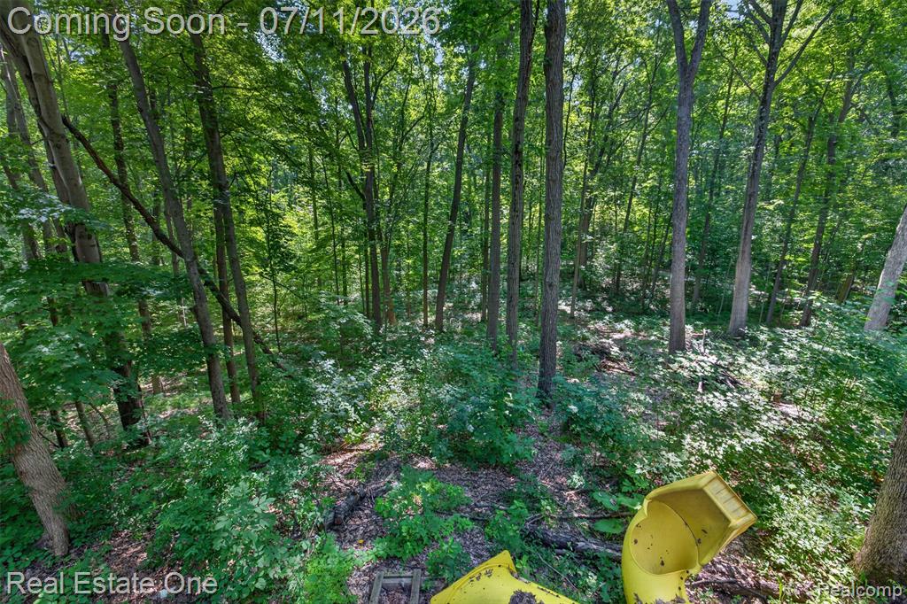310 S Van Road, Holly, MI 48442 — Photo 67