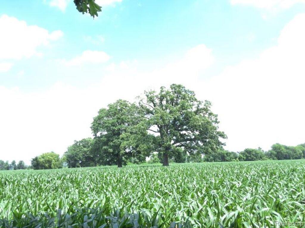 Auction Lot# 4 10 acres Dryden Road, Capac, MI 48014 — Photo 2